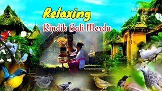 Rindik Bali Merdu dan Populer Dengan Suara Burung di Alam Liar 🐦🌿🍃