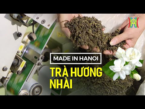 Trà hương nhài được sản xuất thế nào? 