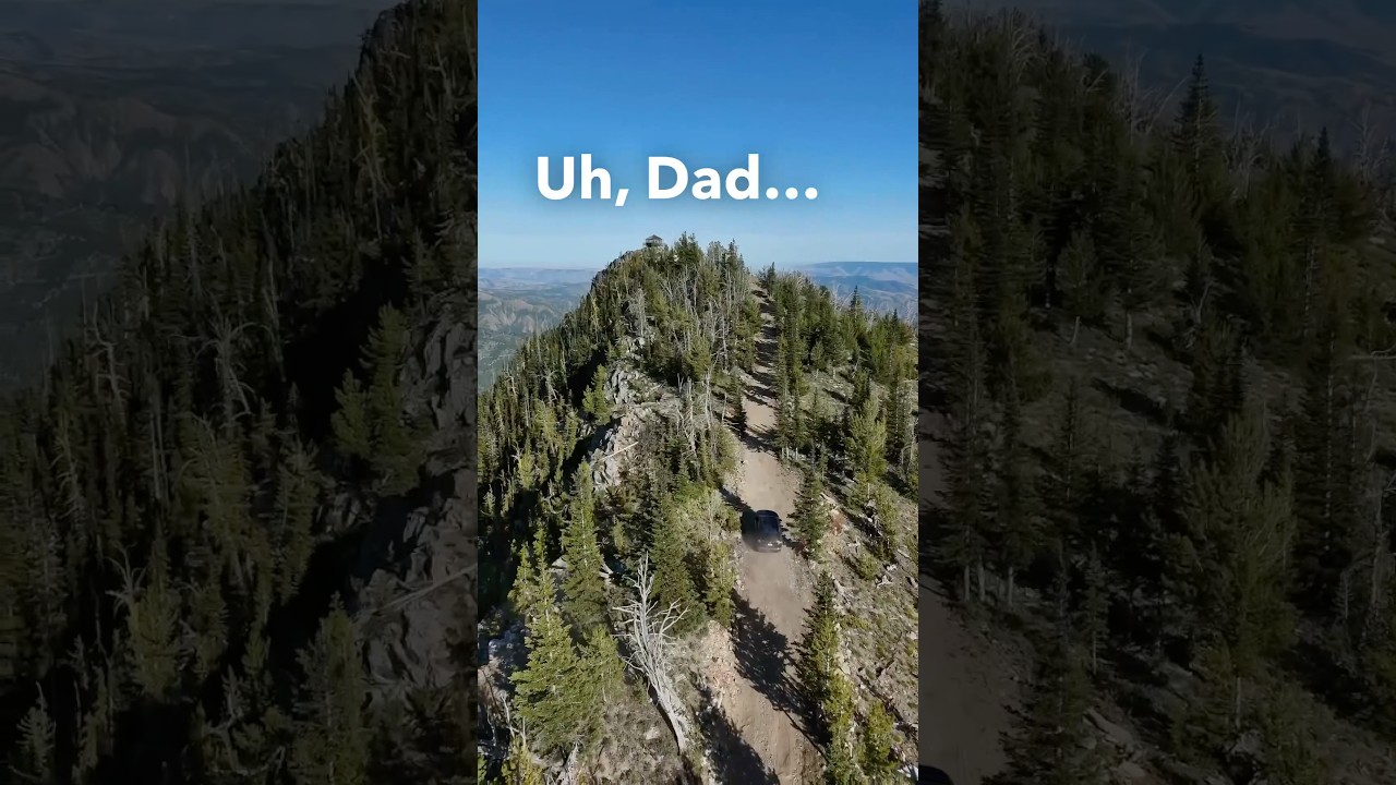 Эпическое приключение на вершине горы (D)!