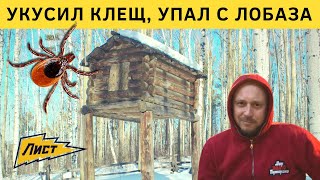 Меня укусил клещ! Упал с лобаза!  Саша Счастливый привет! Абвгат привет !