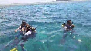 LIVE REPORT - Transplantasi Terumbu Karang Taman Nasional Bunaken oleh BRI Insurance dan Seasoldier