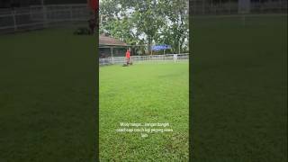 Wooly antri disekolah