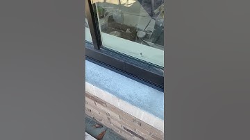 Exterior Caulking for a West Vancouver home. We used black caulking to match the window frame