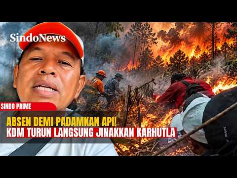 Alasan Absen di Rakornas: KDM Turun Langsung Padamkan Api Karhutla | Sindo Prime | 23/10