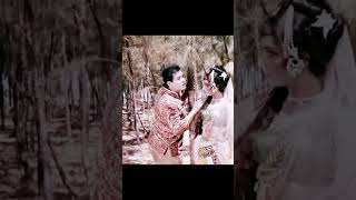 Tum Ne Kisi Ki Jaan Ko Jaate Huye Dekhaa Hai  Raj Kumar  1964  Mohammad Rafiretrobollywood