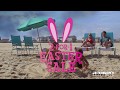 Jenkinson's Boardwalk 2-for-1 Easter Sale!