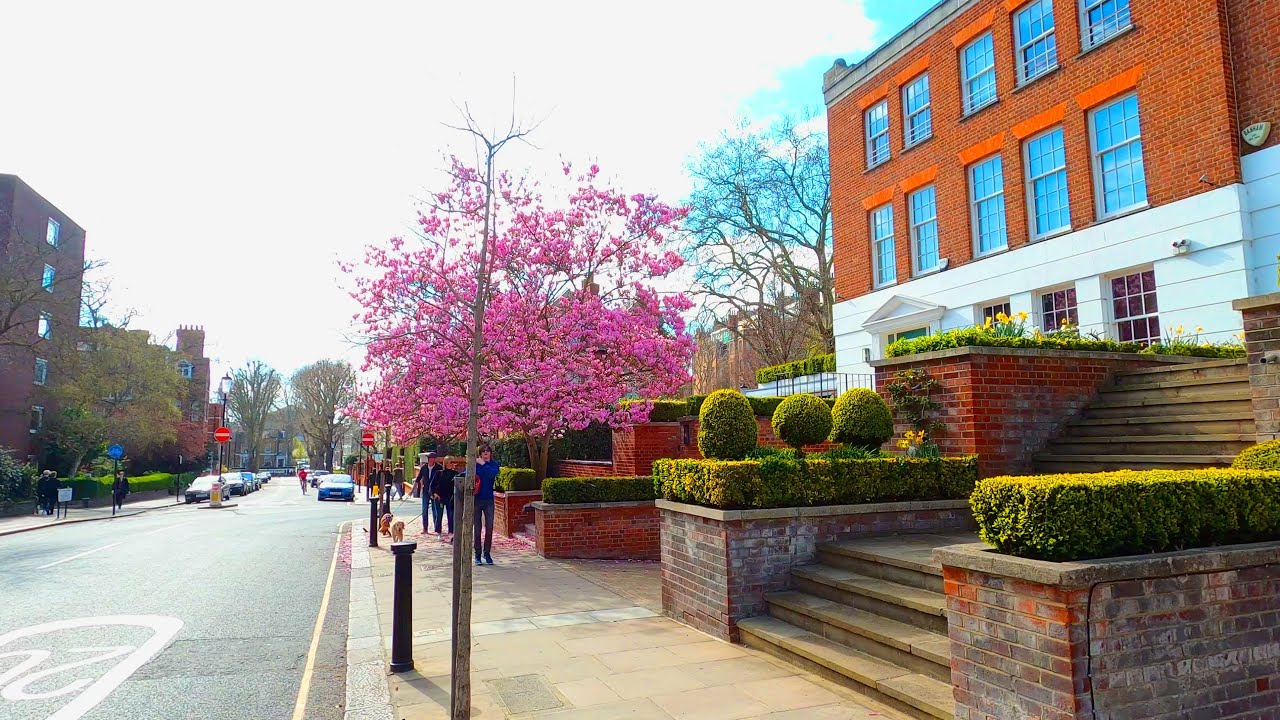 London Walk 🌸- 4K (Melbury Road, Oakwood Court, Addison Road)