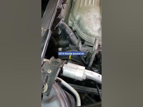 2014 honda accord v6 banda (faja) de tiempo - YouTube