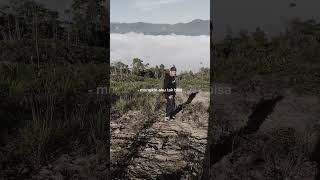 Download Lagu negeri diatas awan2 MP3