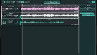 Separating dialogue from background noise at a trade fair interview with DeMIX Pro Video