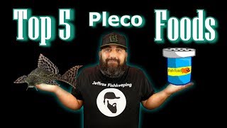 My Top 5 Favorite Pleco Foods