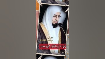 سورة الشعراء الاية 221-226