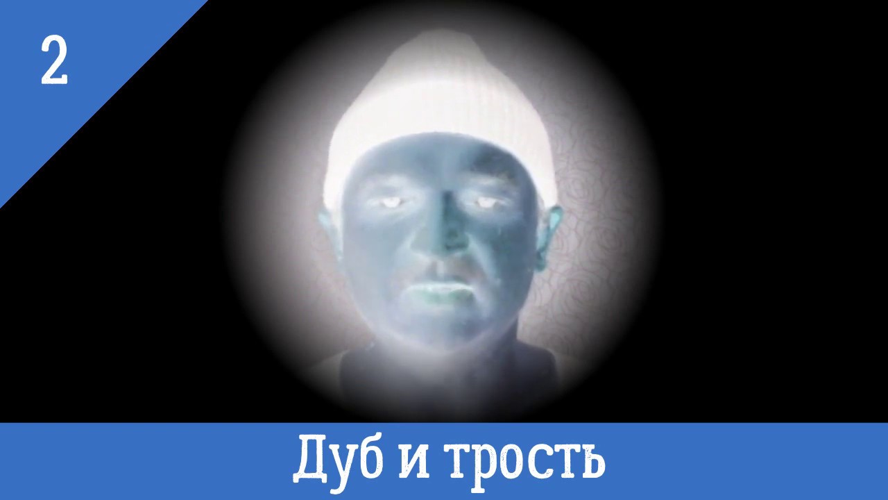 Дуб и трость - YouTube