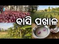 Village farmer lifestyles samblpuri vlogs sunilofficialvlogs farmerlife villagevlog