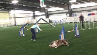 Java Agility run