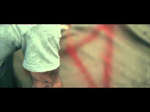 Fates Upon Us - If Cats Had Opposable Thumbs (Music Video)