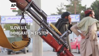 Imperiled Afghans worry over long U.S. visa delays