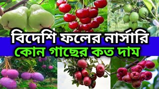 বিদেশি ফলের নার্সারি। সমস্ত দেশি ও বিদেশি ফল গাছ পাওয়া যায়। All Variety Fruit Plant Nursery.