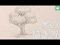 【トップレート】 木 イラスト 手書き