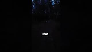 Dum Bum 50 F4 | 50g #pyro #polenboller #fireworks #polenböller #explosion #petardy #fajerwerki