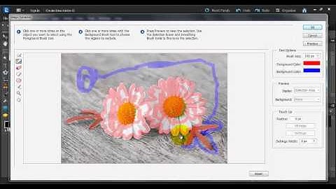 How to Use the Magic Extractor Tool in Photoshop Elements 6-10