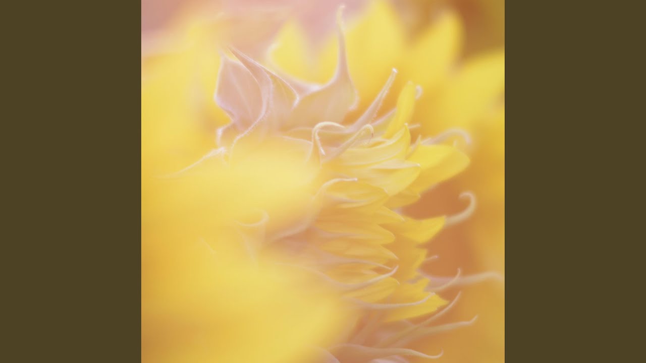 Watch Communique on YouTube Watch Communique on YouTube