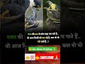 वक्त कि मार #motivation #attitude #viralshorts #adda