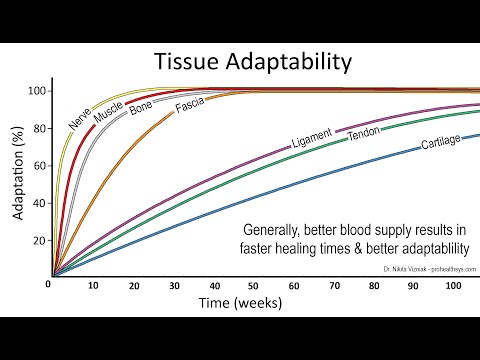 Video: How To Develop Tendons