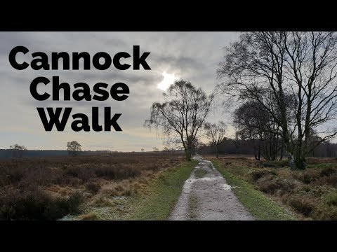 Cannock Chase Walk