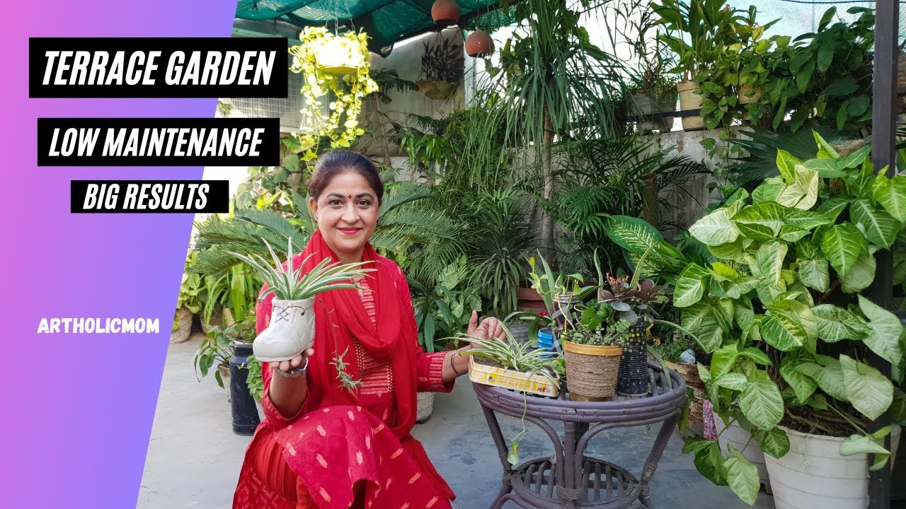 Terrace garden tour |Terrace gardening for beginners | Gardening tips ...