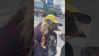 Adorable Dog Sports Skirt, Wig, Helmet, Glasses, and Enjoys Motorcycle Ride