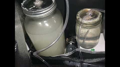 Diy hydroponic RDWC fallponic system