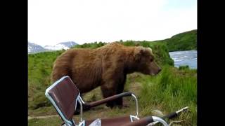 ヒグマが人を襲う瞬間　１　The moment a person is seized with a Grizzly