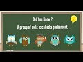 LilQuizWhiz-  Learning is Fun - 3 - Learning video for kids - Fun quiz for kids