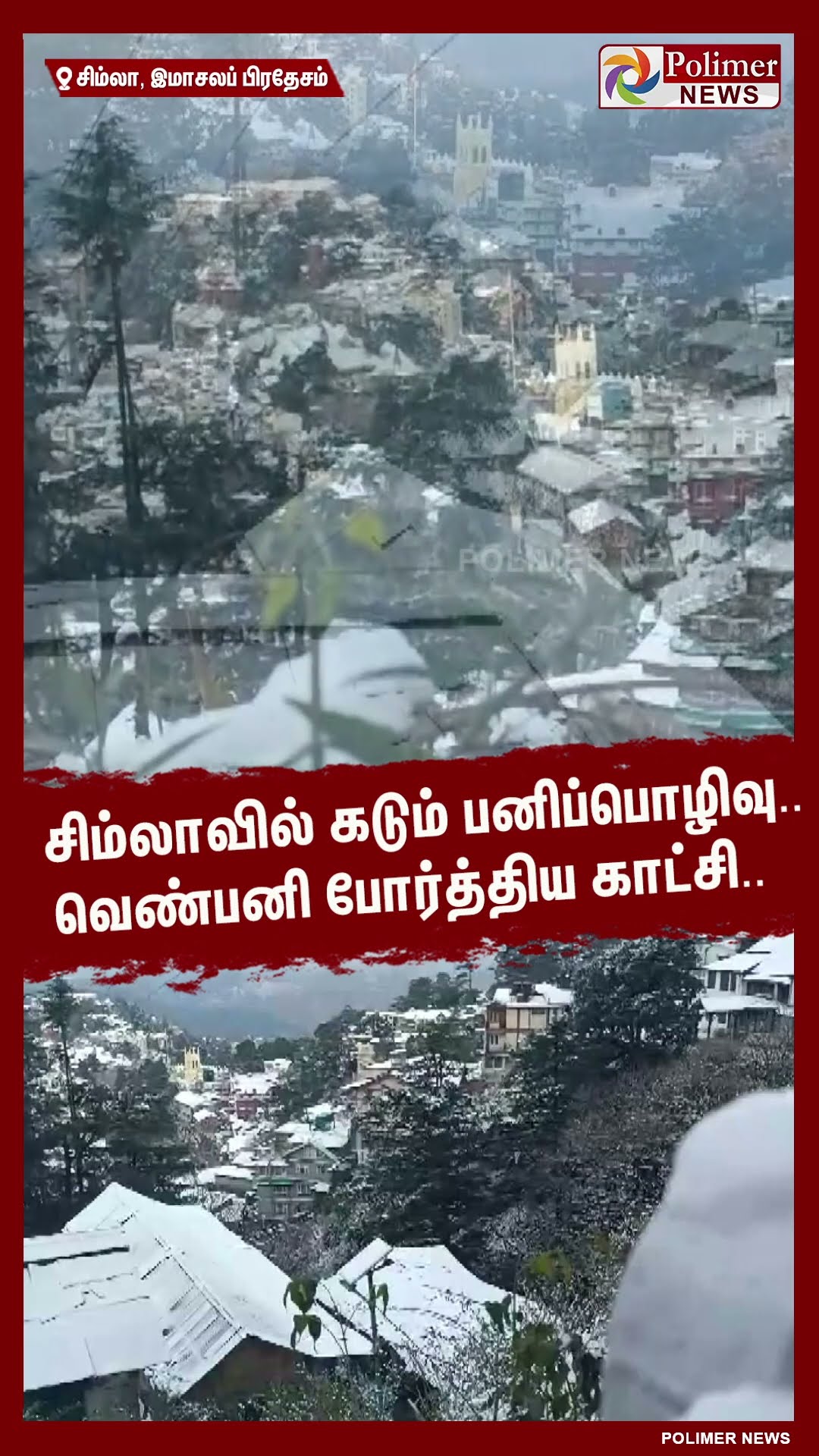 சிம்லாவில் கடும் பனிப்பொழிவு..வெண்பனி போர்த்திய காட்சி.. #shorts