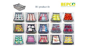 Bepco EU General presentation 2017