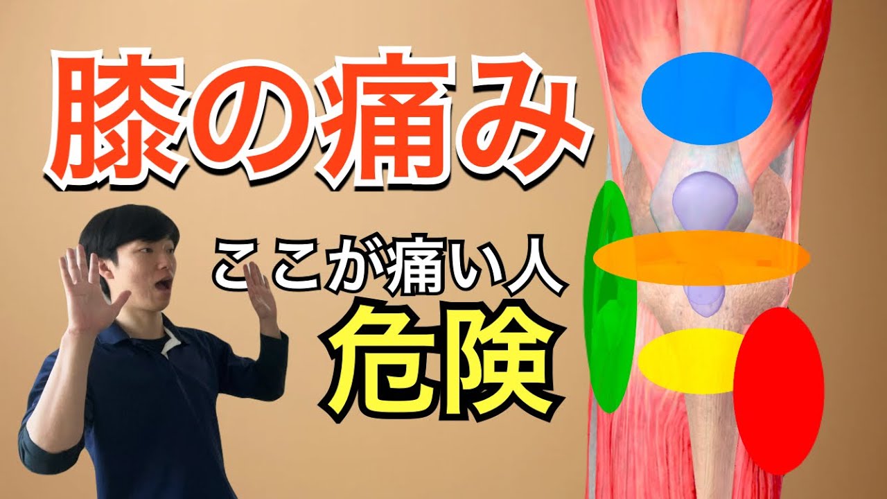 膝の内側の痛みの原因と治し方!そのほかの痛みも徹底解説 - YouTube