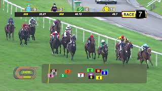 Vidéo de la course PMU CASH LUCK 2013 STAKES CLASS 4 (2)