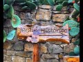 Необычный парк в Испании JARDIN Botanico-Historico La Concepcion Ciudad de Malaga /