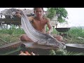 Cooking Great write sheatfish (85 cm) -Tasty and easy recipe - Wallago attu Fish eating so delicious