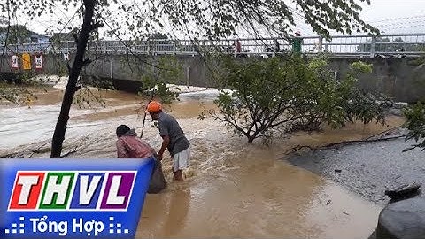 THVL | Người đưa tin 24G: Bất chấp lũ dữ, nhiều người dân ở Đà Nẵng vẫn ra sông vớt củi
