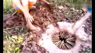 Kereen Jebakan Belut Sederhana Tapi Sangat Ampuh Untuk Menangkap Belut