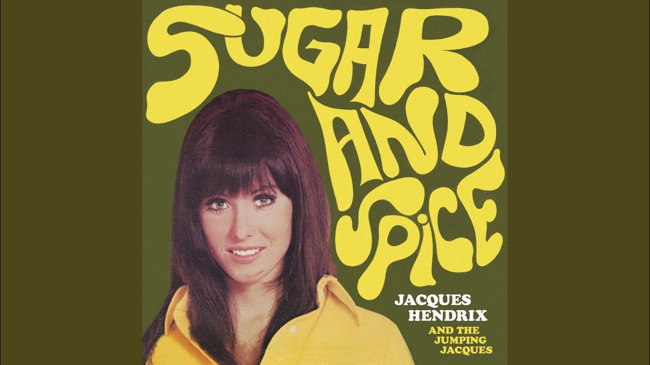 Through A Brazilian Rainforest