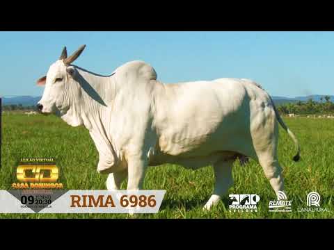 DOADORA RIMA 6986