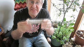 Find a fossil video. Rocks rock.