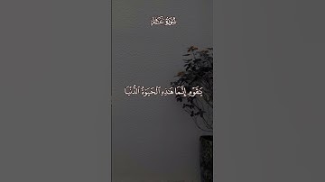 القرآن الكريم | ما تيسر من سورة غافر بصوت القارئ محمد ديبيروف |قناة التلغرام بالوصف