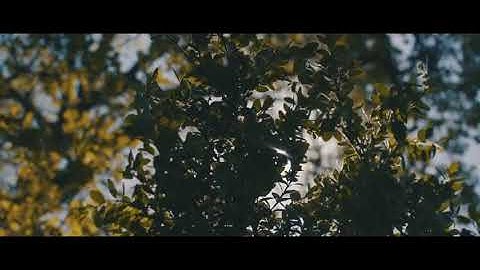 فضائل سورة البقرة 2