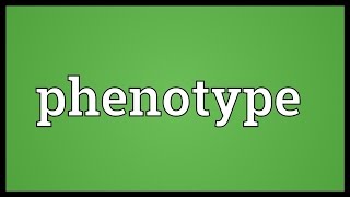Phenotype Meaning