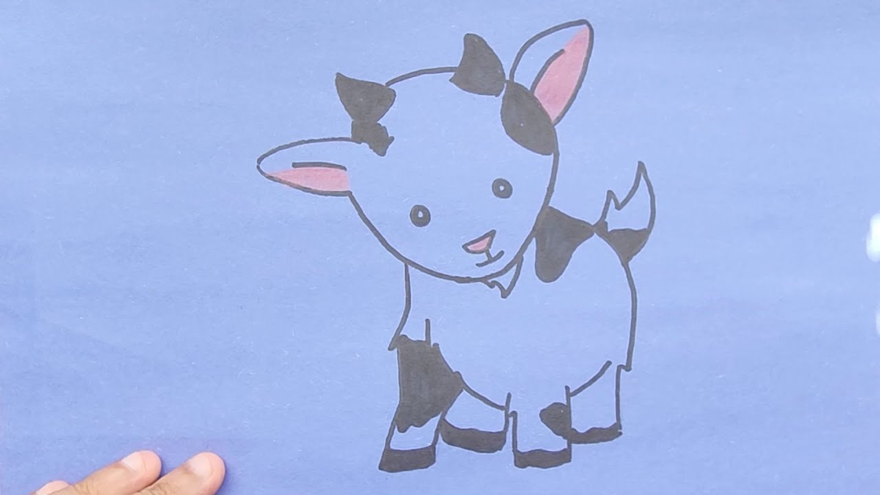 cute goat drawing | how to draw a goat easy  