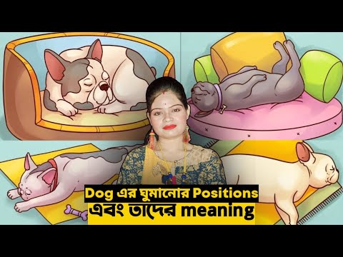 Dog&rsquo;s Sleeping Positions and What They Mean | Dog এর ঘুমানোর positions এবং তাদের মানে | Bangla |